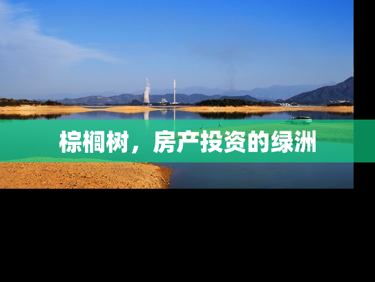 棕榈树，房产投资的绿洲