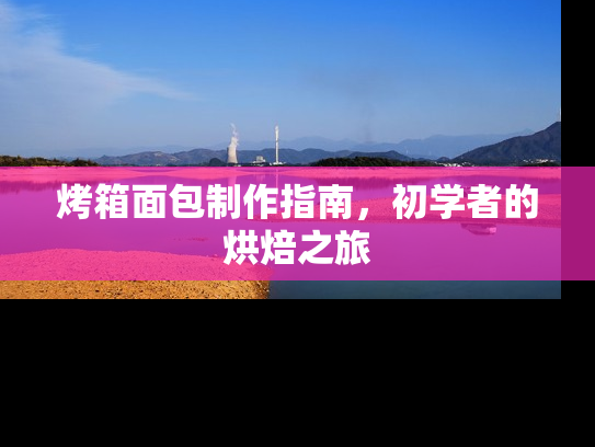 烤箱面包制作指南，初学者的烘焙之旅