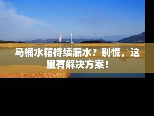 马桶水箱持续漏水？别慌，这里有解决方案！