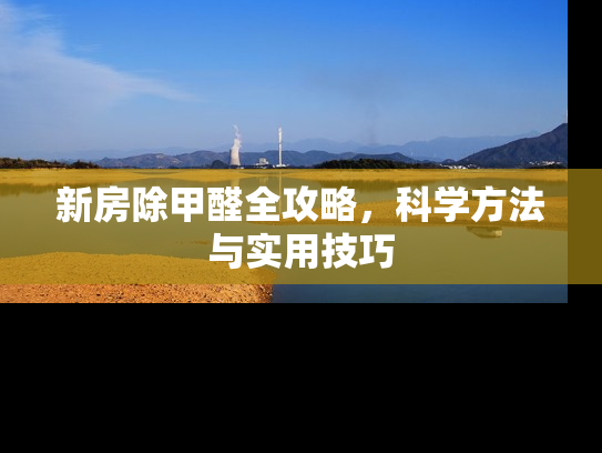 新房除甲醛全攻略，科学方法与实用技巧