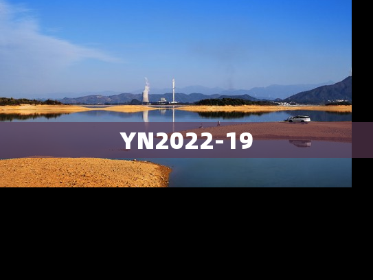 YN2022-19