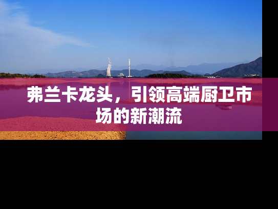 弗兰卡龙头，引领高端厨卫市场的新潮流