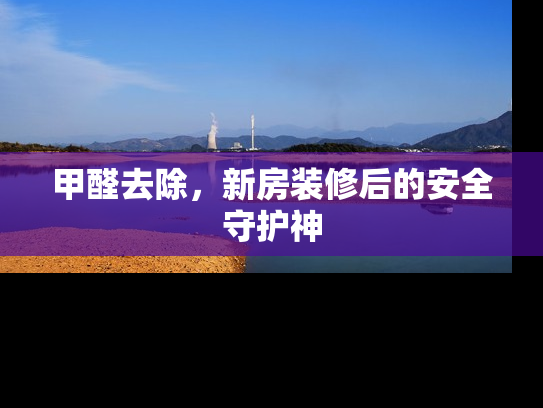 甲醛去除，新房装修后的安全守护神