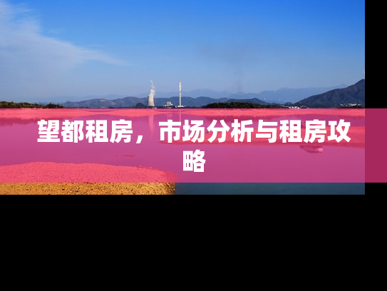 望都租房，市场分析与租房攻略