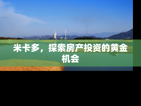 米卡多，探索房产投资的黄金机会