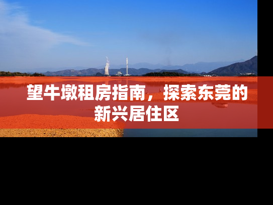 望牛墩租房指南，探索东莞的新兴居住区