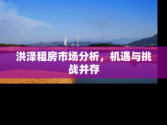 洪泽租房市场分析，机遇与挑战并存