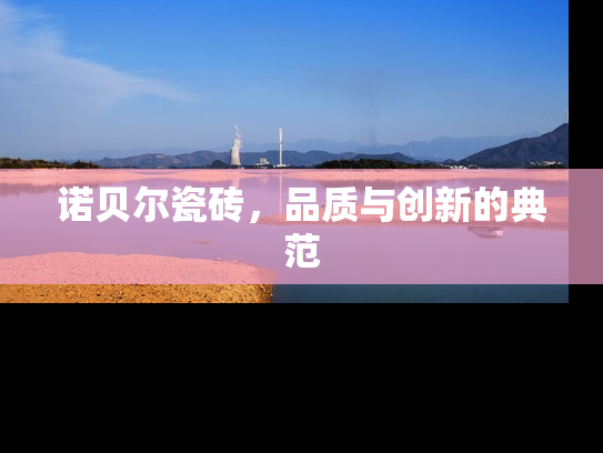 诺贝尔瓷砖，品质与创新的典范