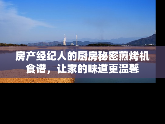 房产经纪人的厨房秘密煎烤机食谱，让家的味道更温馨