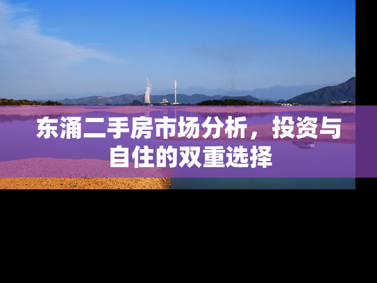 东涌二手房市场分析，投资与自住的双重选择