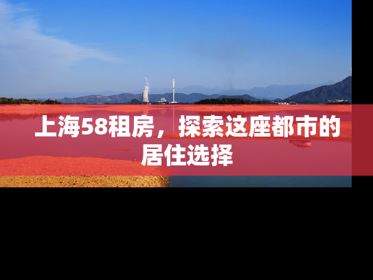 上海58租房，探索这座都市的居住选择