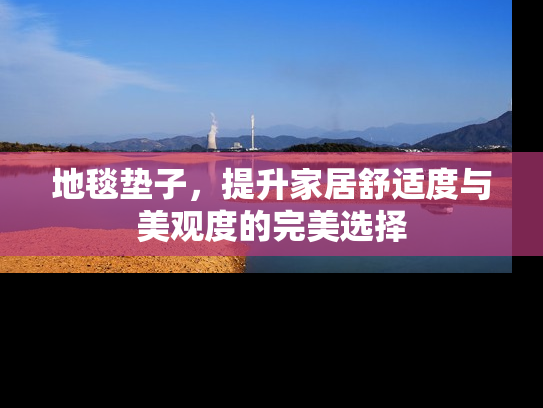 地毯垫子，提升家居舒适度与美观度的完美选择