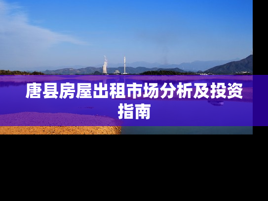 唐县房屋出租市场分析及投资指南