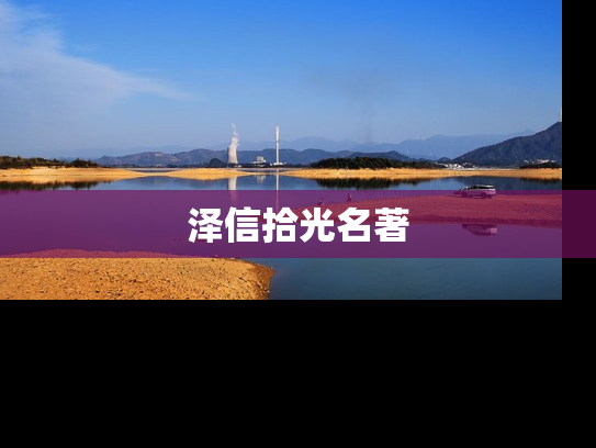 泽信拾光名著