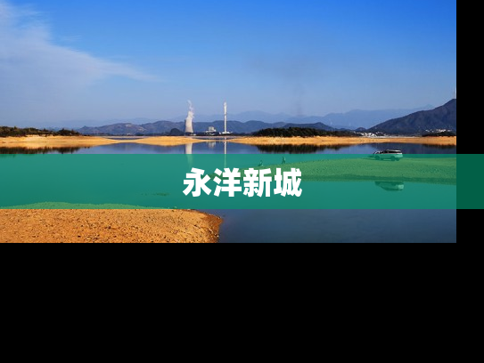 永洋新城