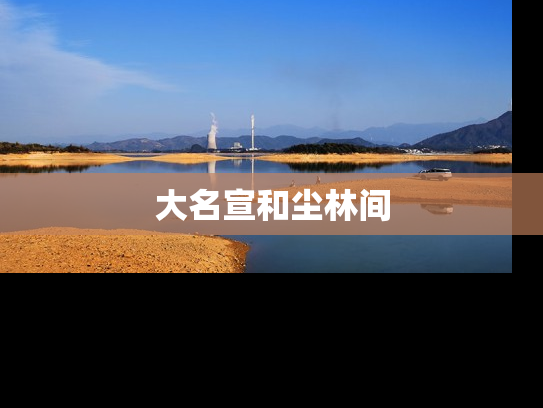 大名宣和尘林间