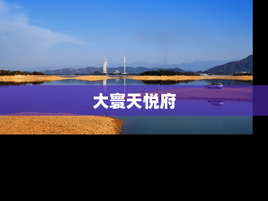 大寰天悦府