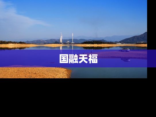 国融天福