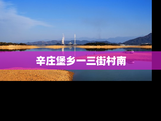 辛庄堡乡一三街村南