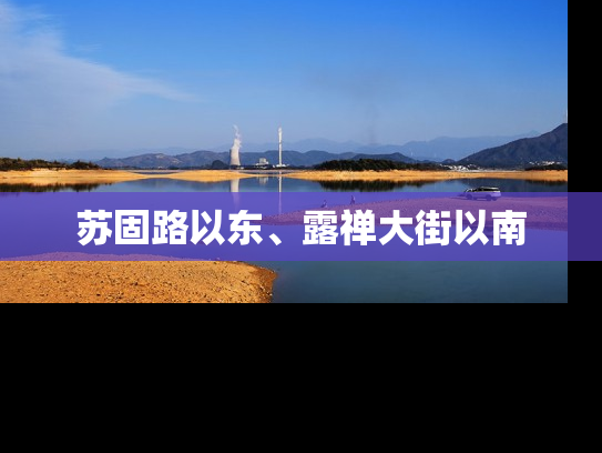 苏固路以东、露禅大街以南