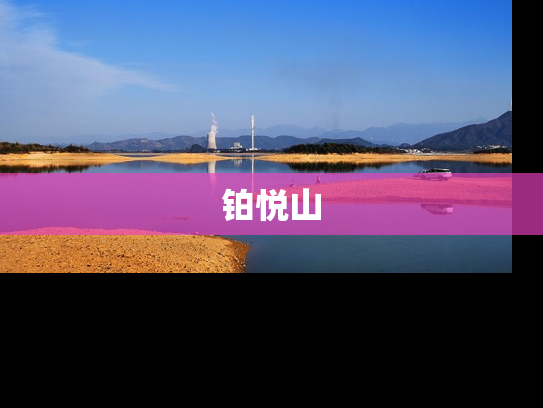 铂悦山