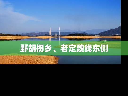 野胡拐乡、老定魏线东侧