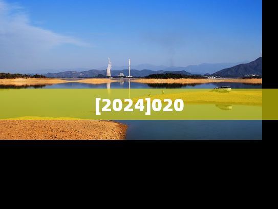 [2024]020