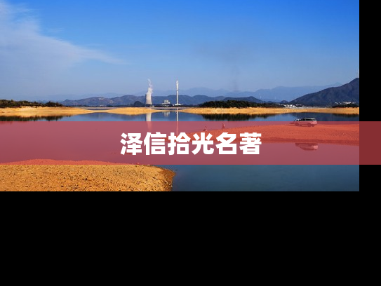 泽信拾光名著