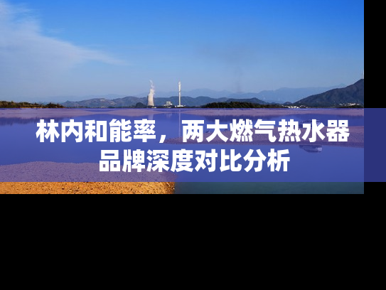 林内和能率，两大燃气热水器品牌深度对比分析