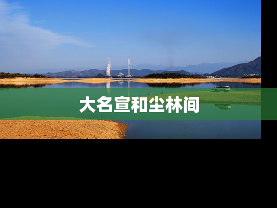 大名宣和尘林间