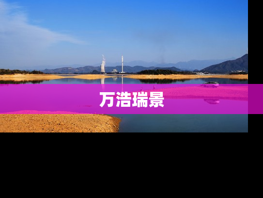 万浩瑞景