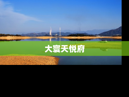 大寰天悦府